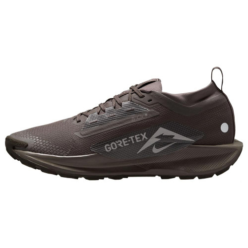 Nike Pegasus Trail 5 Gore-Tex